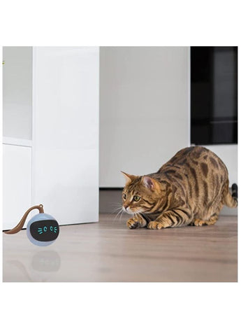 Interactive Cat Ball Toy for Indoor Cats, Automatic Cat Toy, Self-Rolling Cat Ball Toy, Self-Rotating Pet Exercise Toy, Smart Electric Teaser Toy, USB Rechargeable Wicked Ball