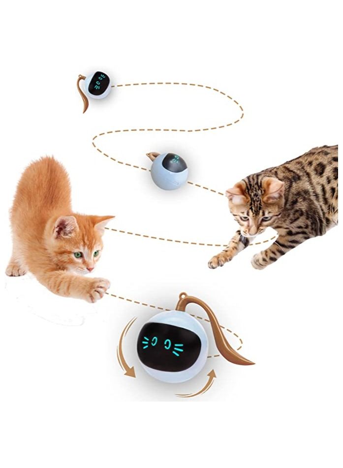 Interactive Cat Ball Toy for Indoor Cats, Automatic Cat Toy, Self-Rolling Cat Ball Toy, Self-Rotating Pet Exercise Toy, Smart Electric Teaser Toy, USB Rechargeable Wicked Ball