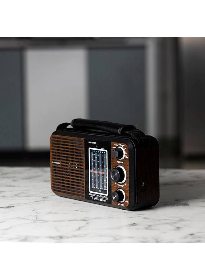 Rechargeable Radio With USB OMR1239BT Brown/Black