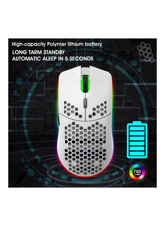 Adjustable DPI 2.4G Wireless Gaming Mouse With USB Receiver