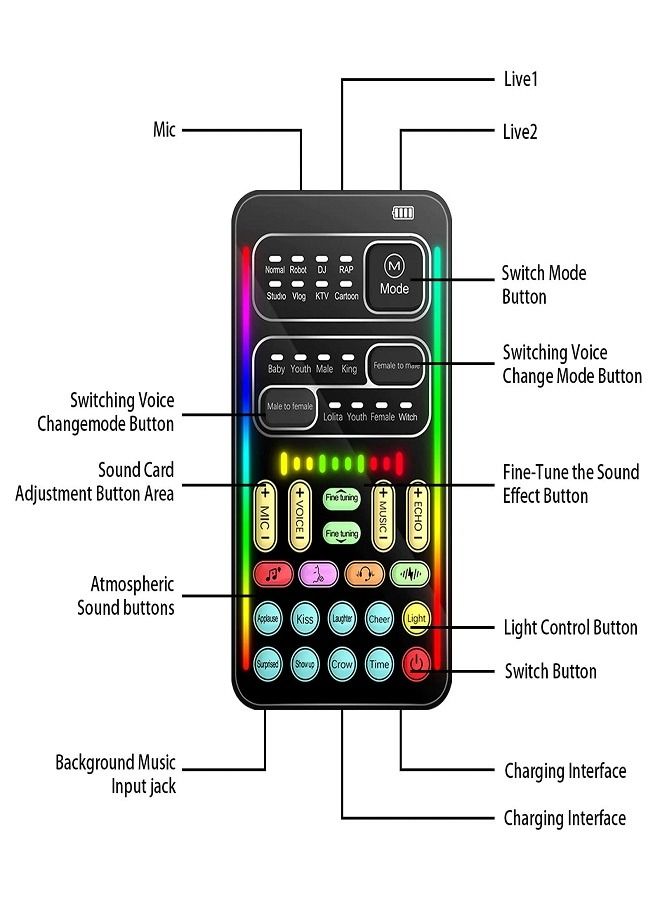 Portable Voice Changer, Handheld Microphone Voice Changer with Sound Multifunctional Effects Machine Voice Disguiser Mini Voice Changer Device for Mobile Phone PC Laptops PS4 Xbox One Games