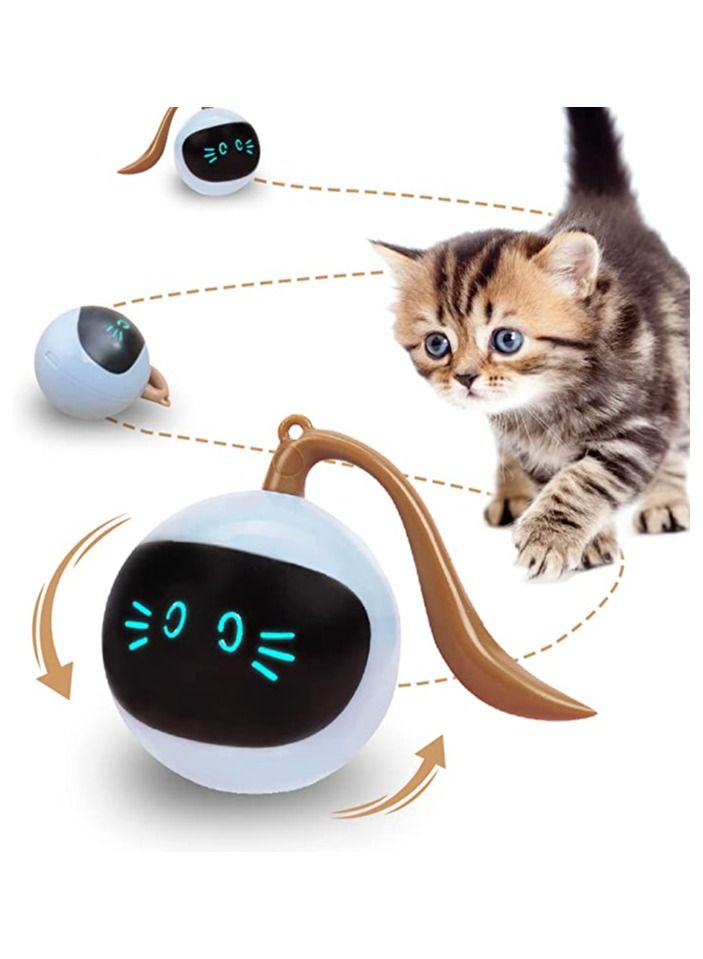 Interactive Cat Ball Toy for Indoor Cats, Automatic Cat Toy, Self-Rolling Cat Ball Toy, Self-Rotating Pet Exercise Toy, Smart Electric Teaser Toy, USB Rechargeable Wicked Ball